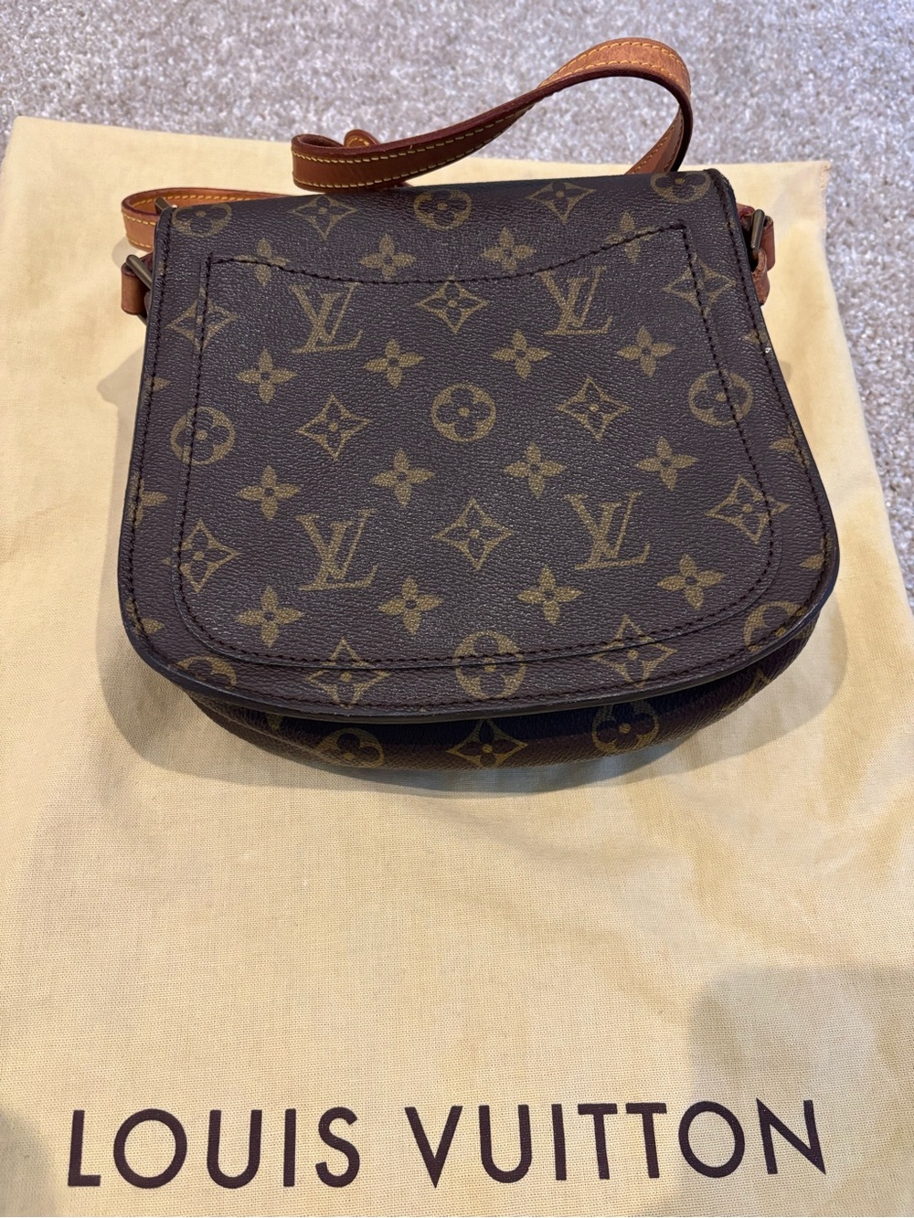 Louis Vuitton Monogram Saint Cloud Crossbody Bag - Picture 4 of 8